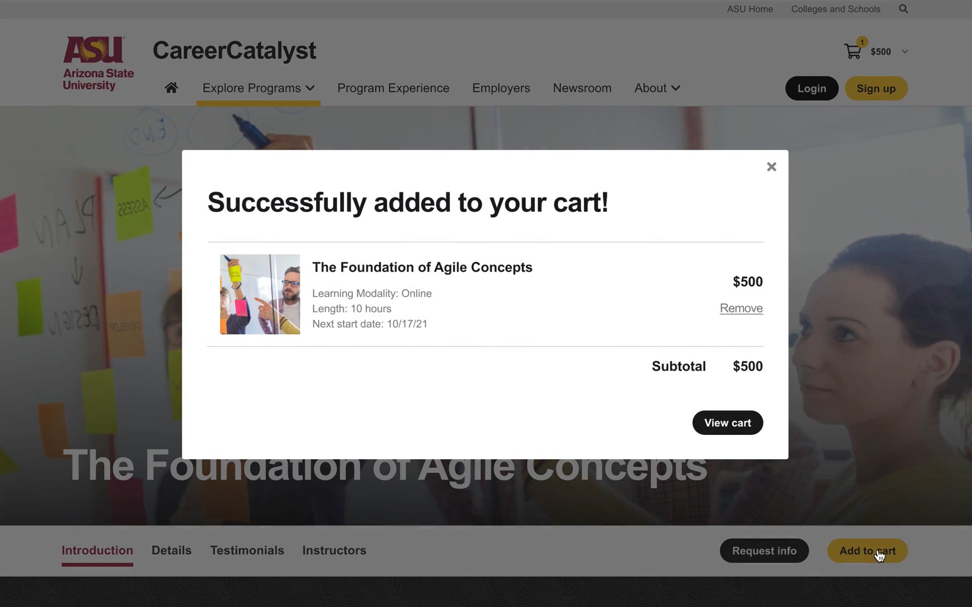 Professional development course ecommerce desktop screen
