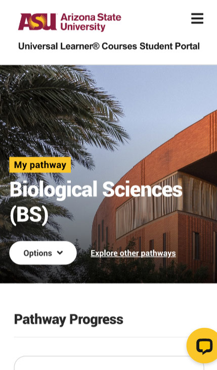 Online course student portal mobile screen