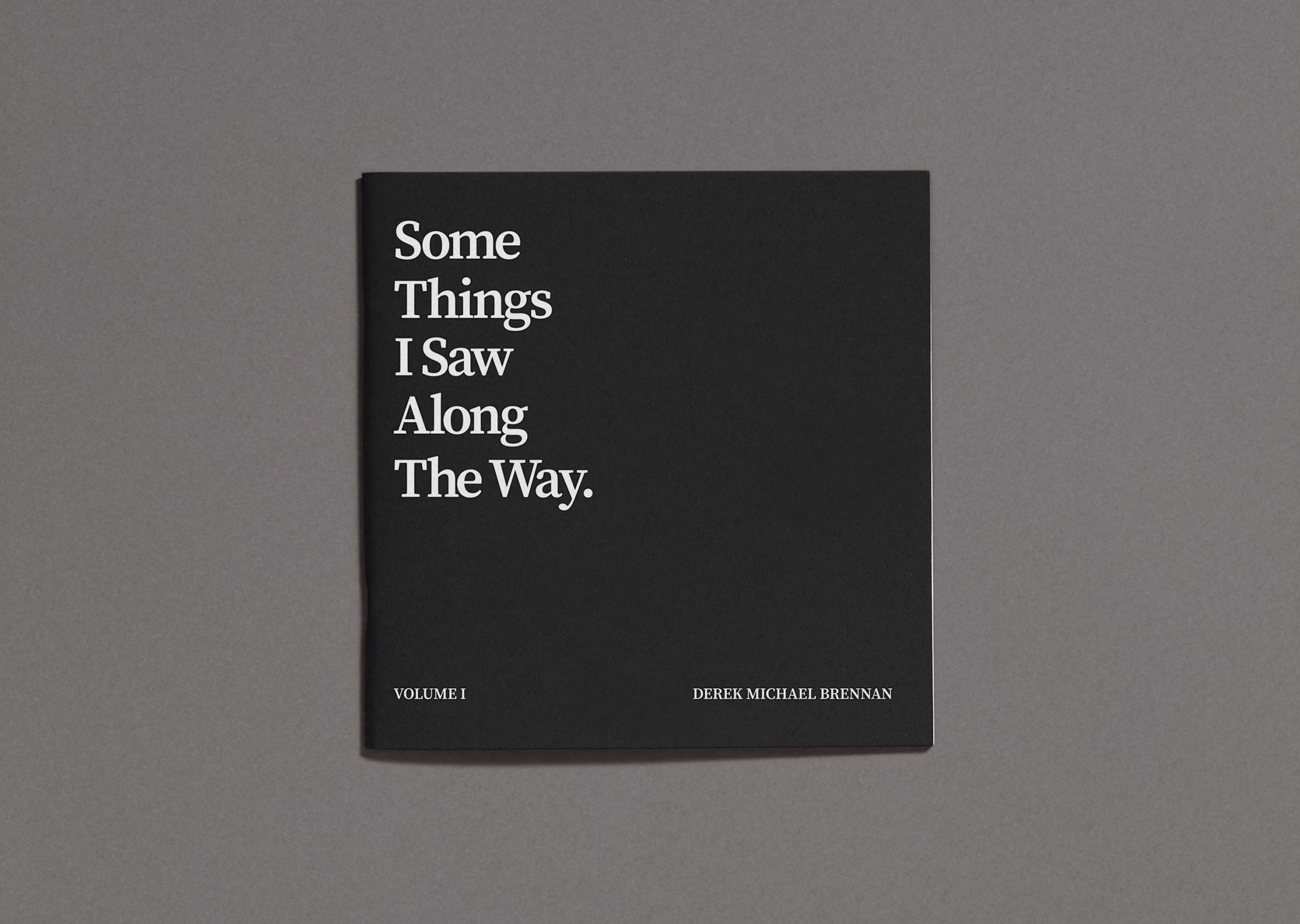 Some Things I Saw Along the Way